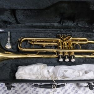 Stagg WS-TR215S – trąbka Bb + futerał