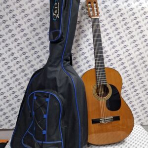 Gitara Alvaro Guitars No.39